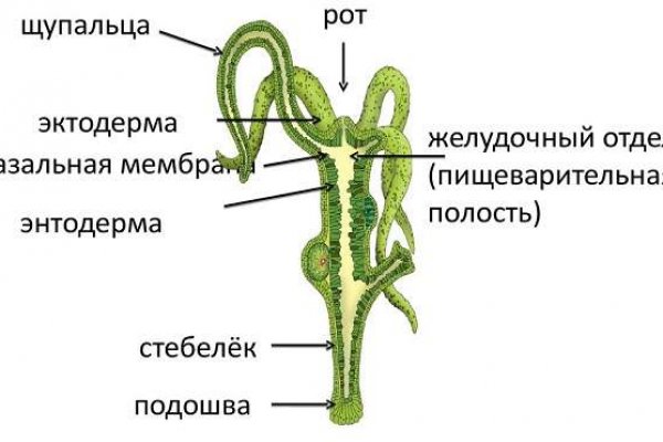 2krn at что такое